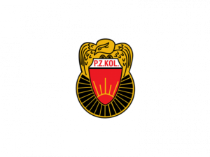 ODWOŁANY WYŚCIG - 44 MEMORIAŁ HENRYKA ŁASAKA